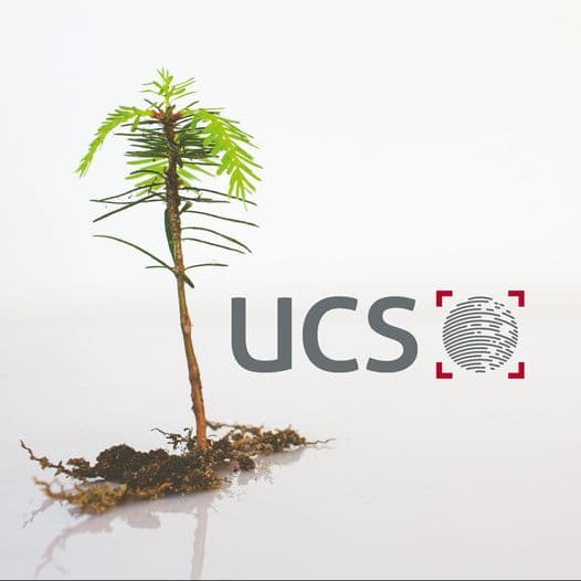 Nachhaltige Logistik – die Umwelt im Fokus